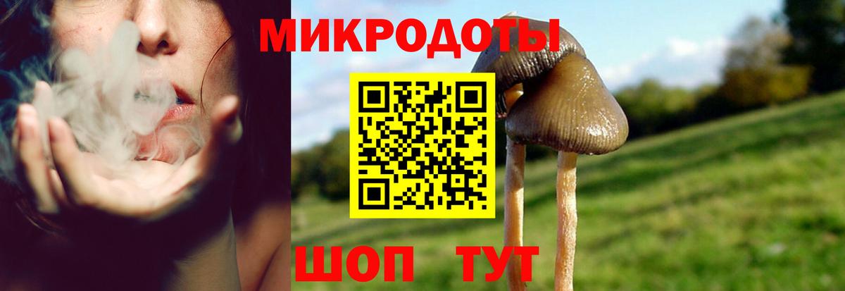 Железногорск  Галлюциногенные грибы Magic Shrooms  как найти закладки  Вход с VPN  Псилоцибиновые грибы GOLDEN TEACHER 
